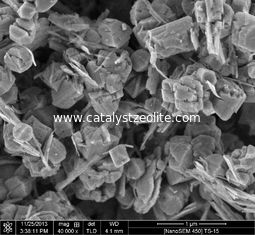 40um τιτάνιο Silicalite 1 Zeolite καταλύτες CAS 1318 02 1
